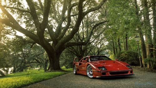 180---ZQ7SkYK---Ferrari-F401fb32683b381ad5a.jpg