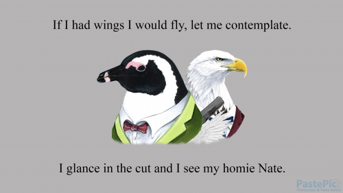 35---uvDxWdffeb5f40d2d493a72.png