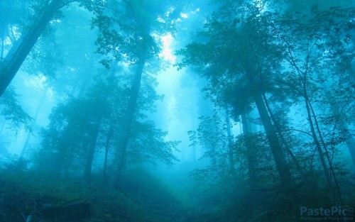 37---Fe0grtZ3b6d0c12b48b7bc5.jpg