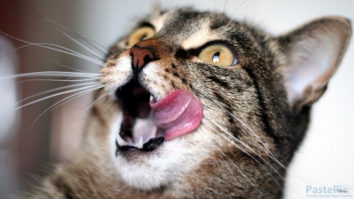 72---we1fLwEe8baaceacad6b67b.jpg