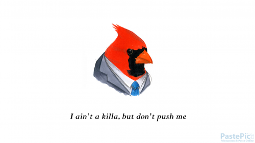 77---FeHlW078576241c5bc73156.png