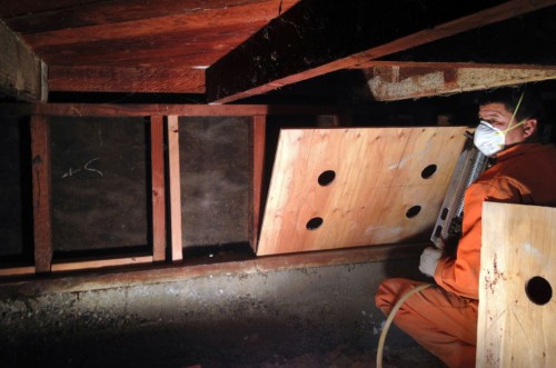 Cripple wall bracing