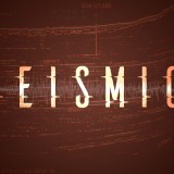 Seismic797d8a83bc21801b
