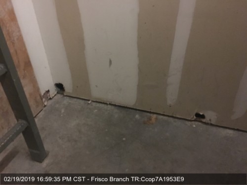 2000-Roof-Access-Holes905961cb7914fa07.jpg