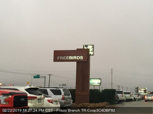 FREEBIRDS-PYLON0c1a967160ba0220.jpg
