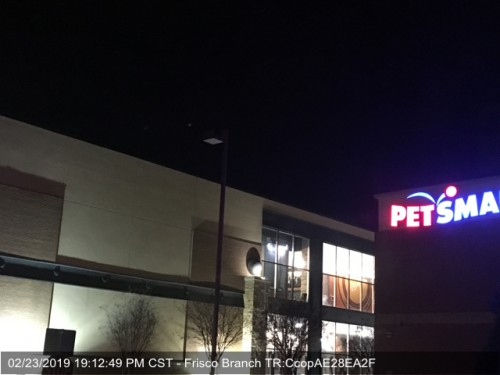 petsmart_light6abc3faad0eb26c0.jpg