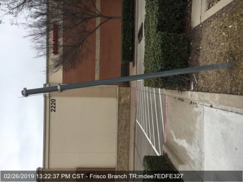 122pm-sign-between-babies-and-pets-are-leaning-handicap5cfb3ae82dff8602.jpg