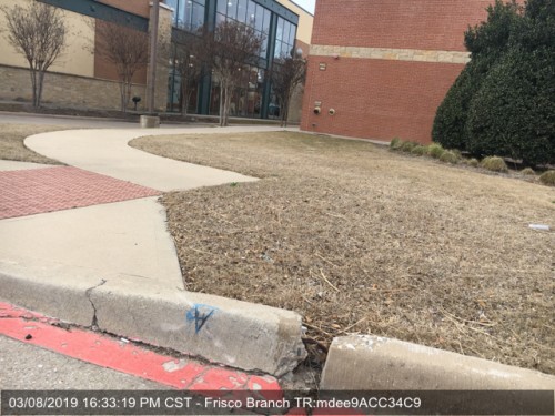 petsmartcurb65928d49b09c64e1.jpg