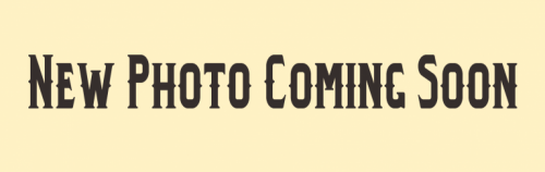 NewPhotoComingSoon-768x243cf9aad4dd1a5c39a.png