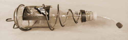 Slider-hummingbird-768x243f5234a9738d9ee48.png