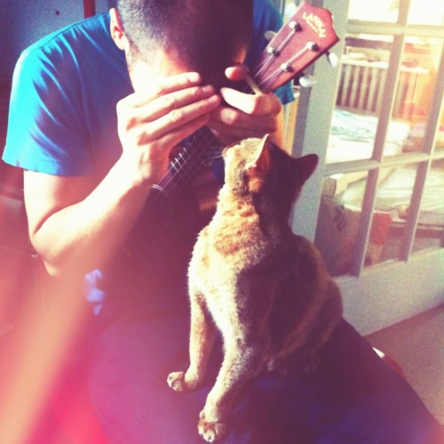 peek-a-ukewithmarv---Mike-Uy48e0b47e044b7e39.jpg