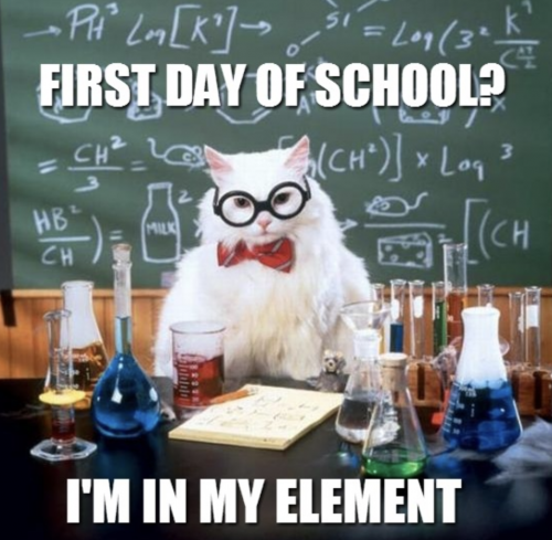 1st-day-of-school5dfd632994434356.png