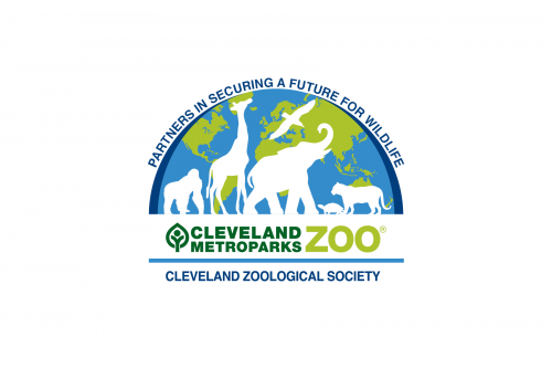 image1fcf41eff2b0337e.png