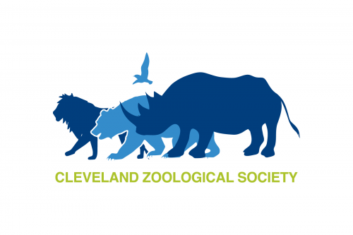 image472f6d003bb9a0b4.png