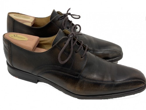 Shoe-Tree-in-Shoe-3ea21db7b5fc11422.jpg
