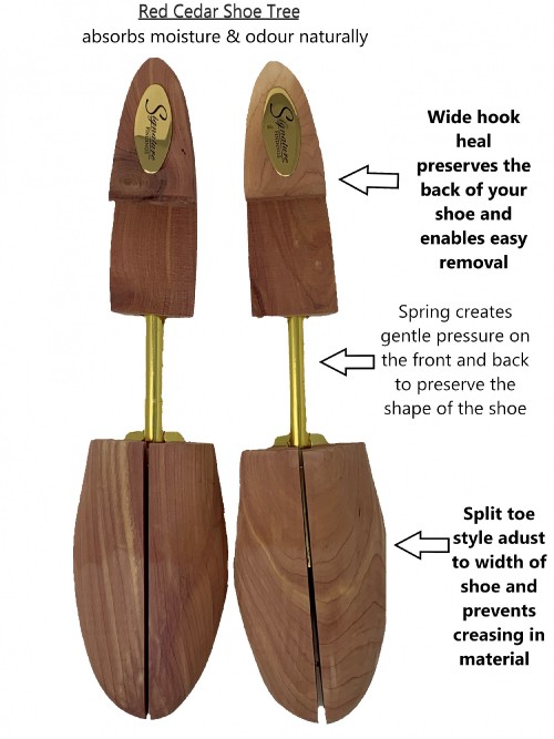 shoe-tree-frontb08b42d5d655c8e09.jpg