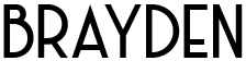 brayden-logo6780ab7edb853c29.png