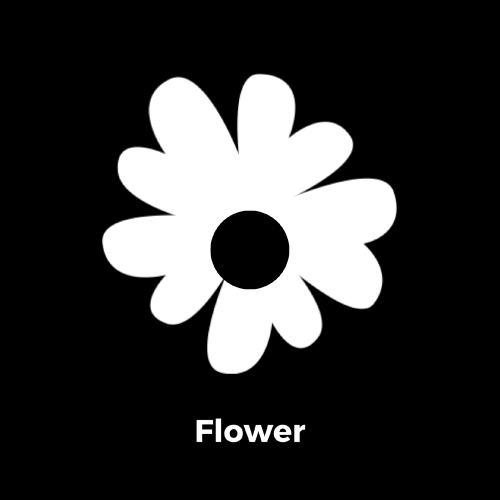 9BB88654-42F9-479F-BCAC-33C703BC91C79ebb4312fe6c0434.png