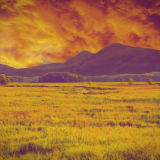 Untitled41d806e00bd1e542b.png