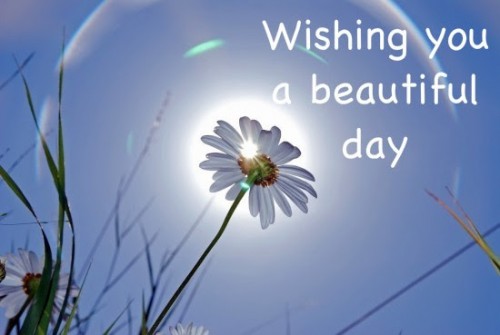 BeautifulDay7fa5b4c7fd902f6c.jpg