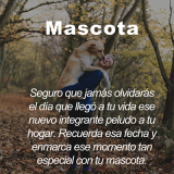 Mascota_smalldc8c1f6be4c493ee.png