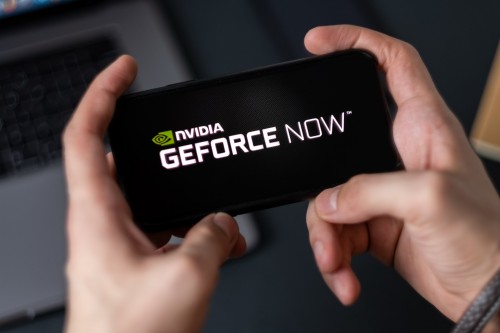 gFX_010xpxMONNvidiacdded5367a51d29a.jpg