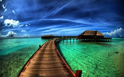 just_for_pic_li6e7bc46bb5fe0a88.jpg